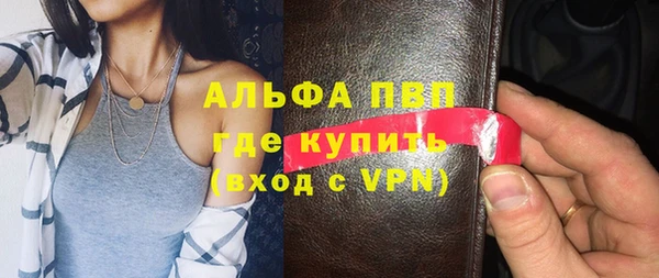 прущие грибы Строитель